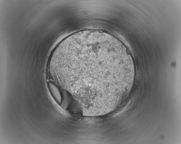 X0000094450803200711291658