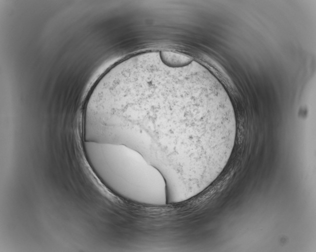 X0000094450804200711291658