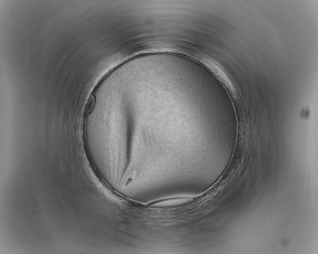 X0000094450805200711291658