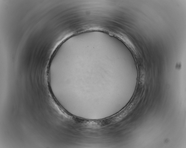 X0000094450806200711291658