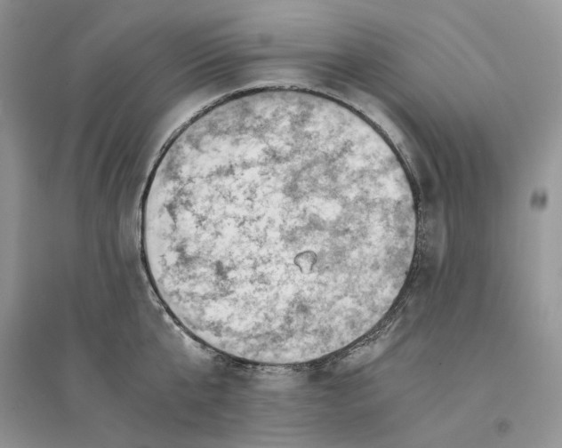 X0000094450807200711291658