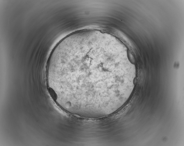 X0000094450808200711291658