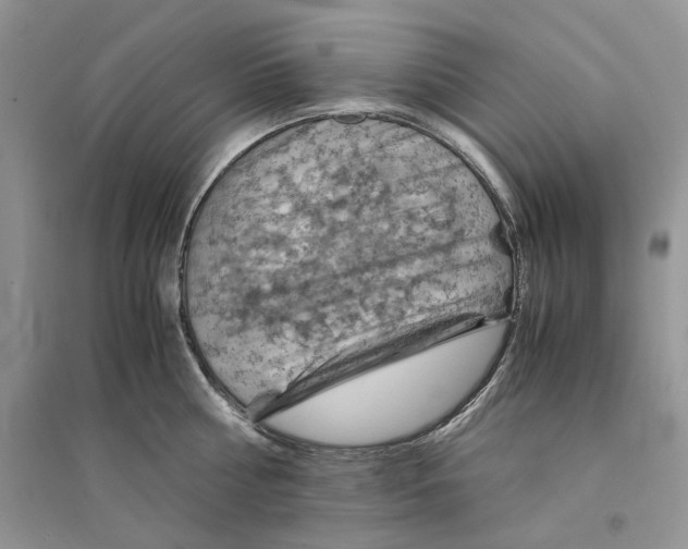 X0000094450810200711291657