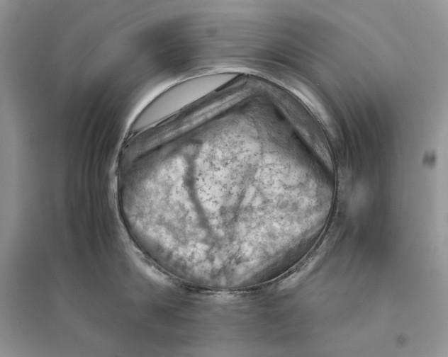 X0000094450814200711291657