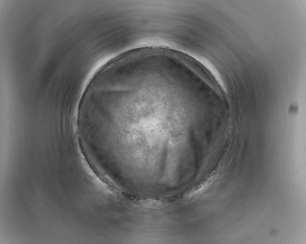 X0000094450815200711291657