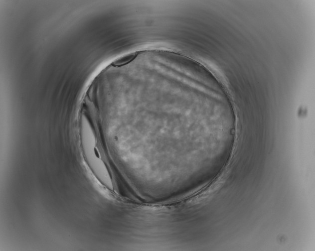 X0000094450816200711291657