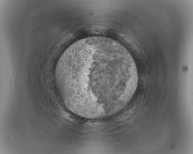 X0000094450817200711291657