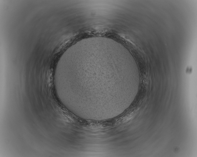 X0000094450818200711291657