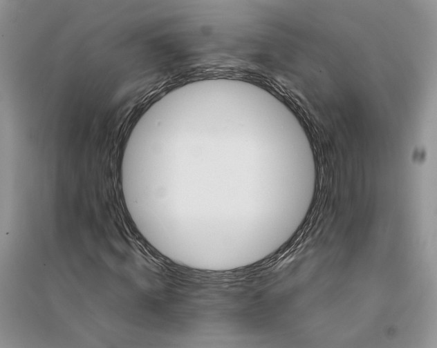 X0000094450820200711291657