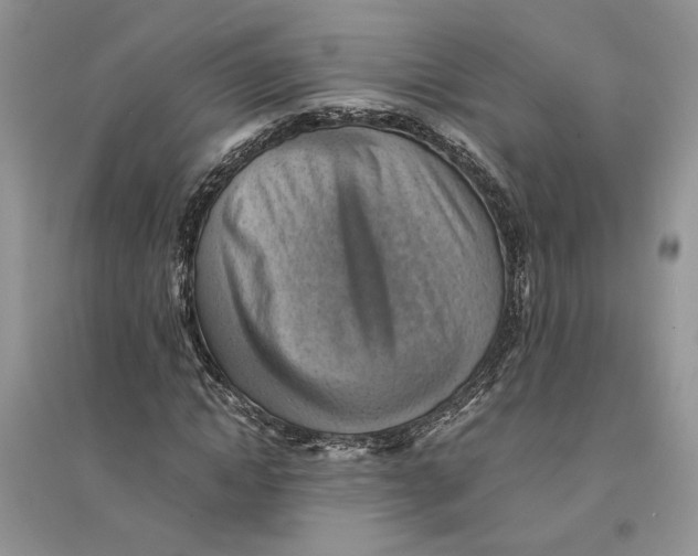 X0000094450822200711291657