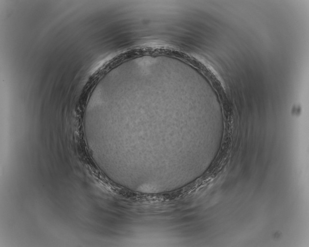 X0000094450823200711291657