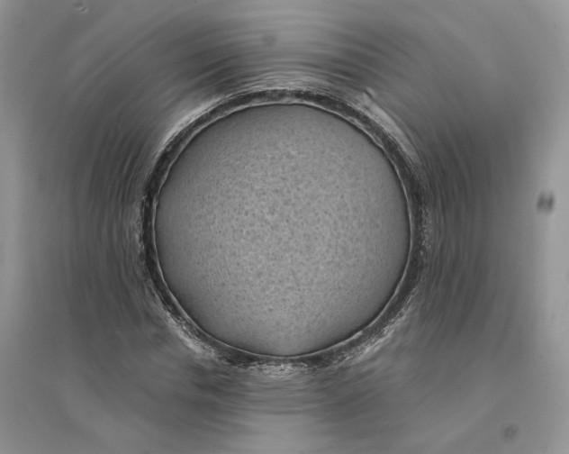 X0000094450826200711291657