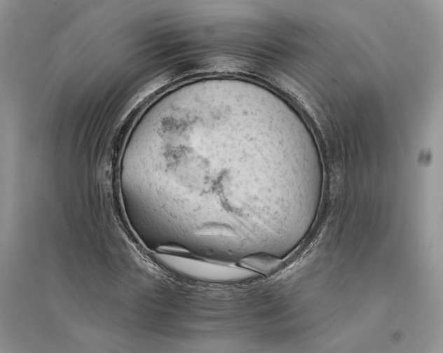 X0000094450827200711291657