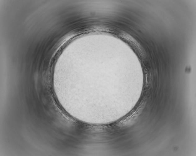 X0000094450828200711291657