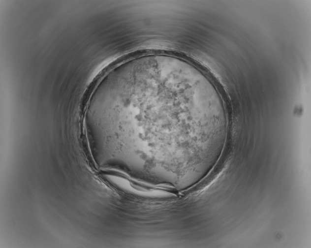 X0000094450829200711291657