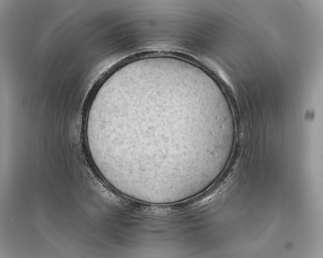 X0000094450831200711291657