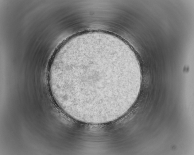 X0000094450832200711291657