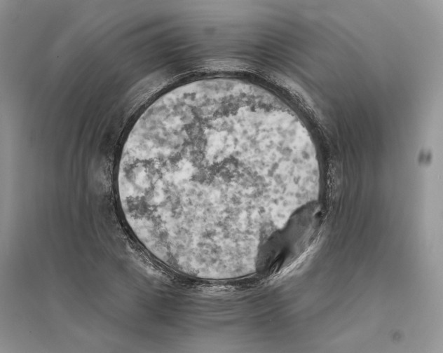 X0000094450833200711291657