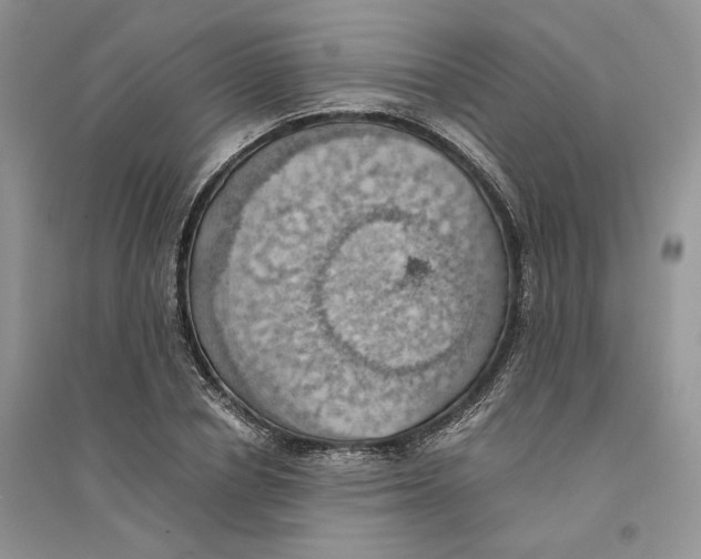 X0000094450834200711291657