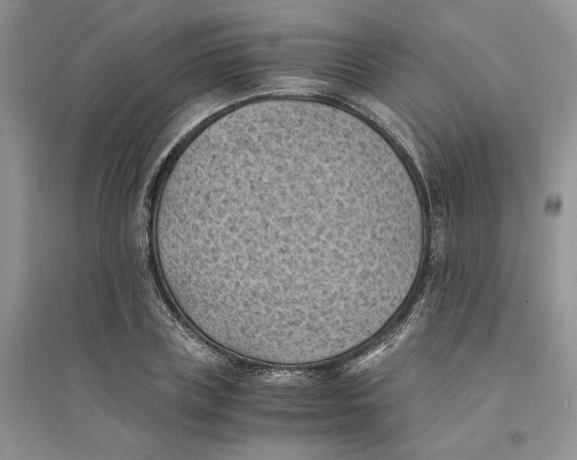 X0000094450835200711291657