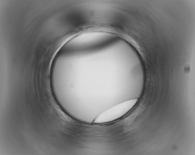 X0000094450836200711291657