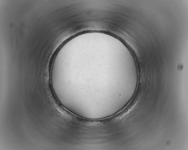 X0000094450837200711291657