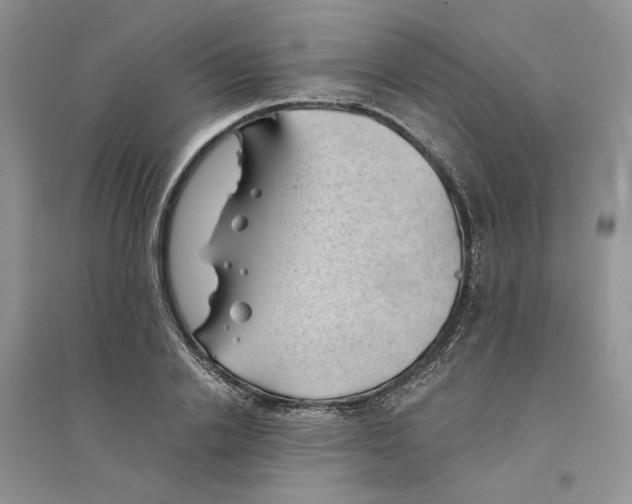 X0000094450838200711291657