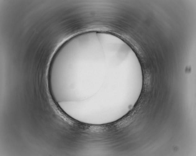 X0000094450840200711291657