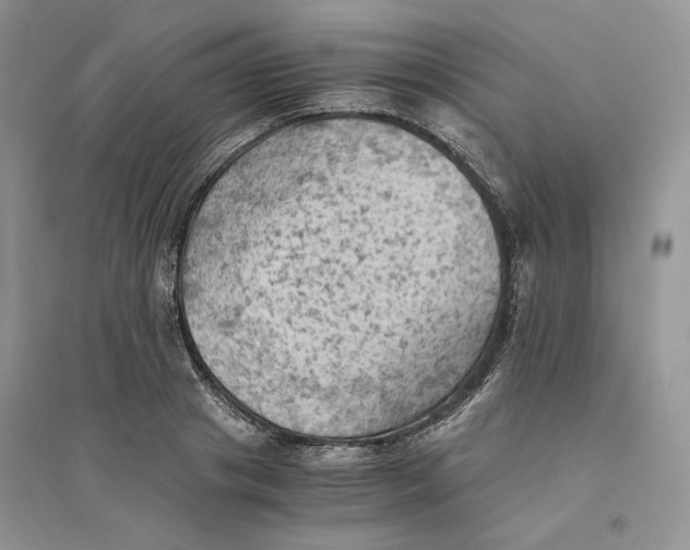 X0000094450841200711291657