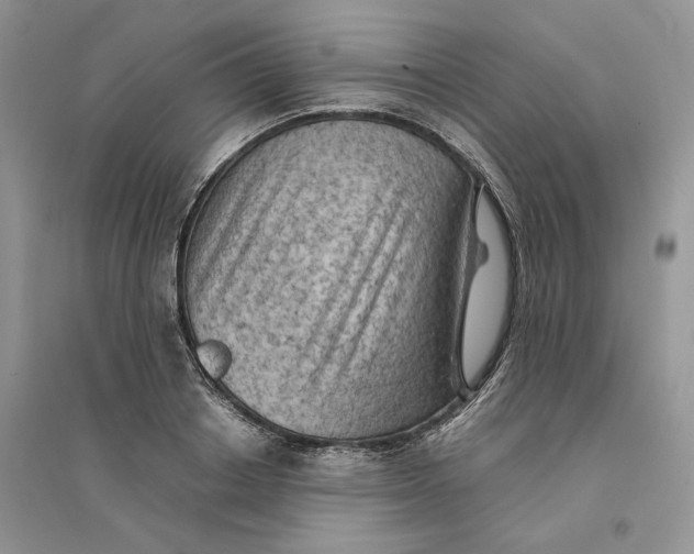 X0000094450842200711291657