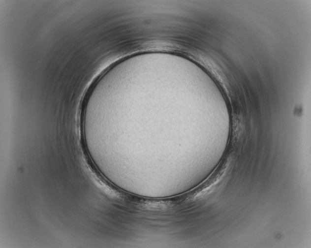 X0000094450843200711291657