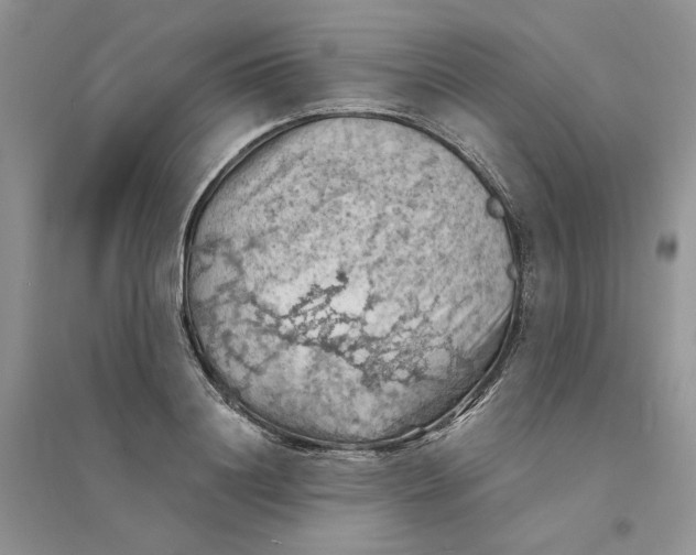 X0000094450844200711291657