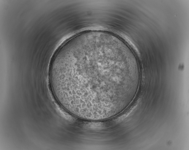 X0000094450845200711291657