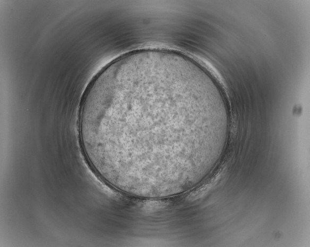 X0000094450847200711291657