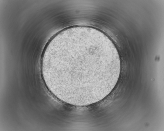 X0000094450848200711291657