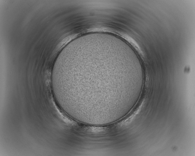 X0000094450849200711291657