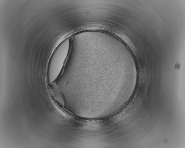 X0000094450850200711291657