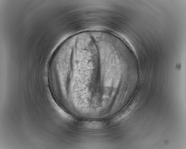 X0000094450851200711291657