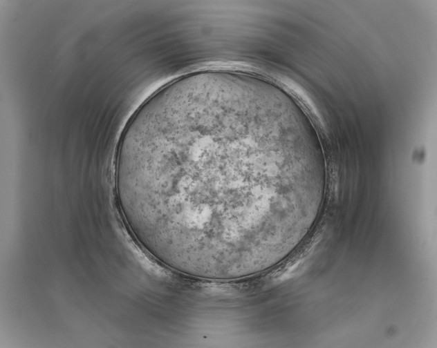 X0000094450852200711291657