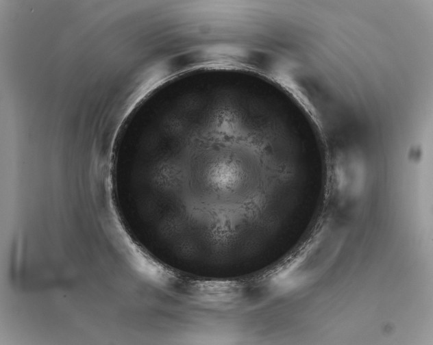 X0000094450853200711291657