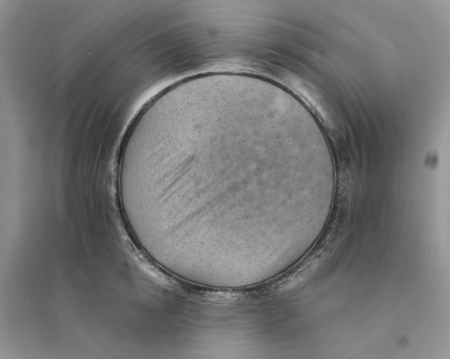 X0000094450854200711291657