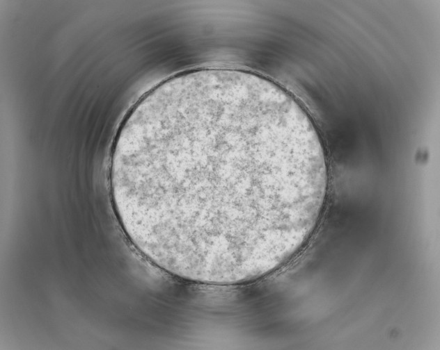 X0000094450856200711291657