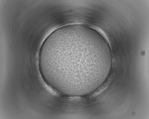 X0000094450859200711291657