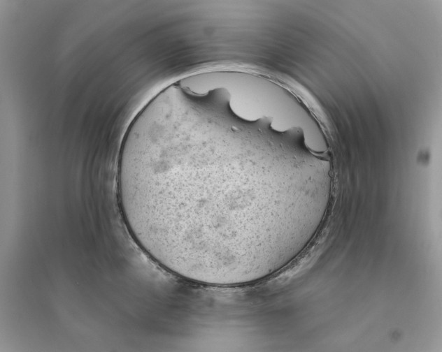 X0000094450860200711291657