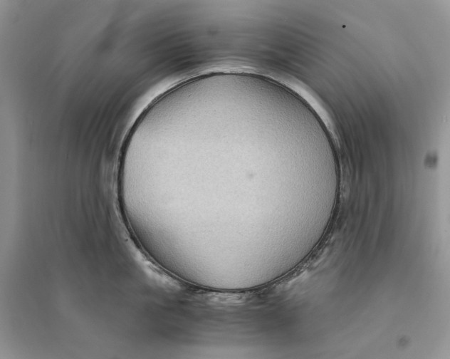 X0000094450861200711291657