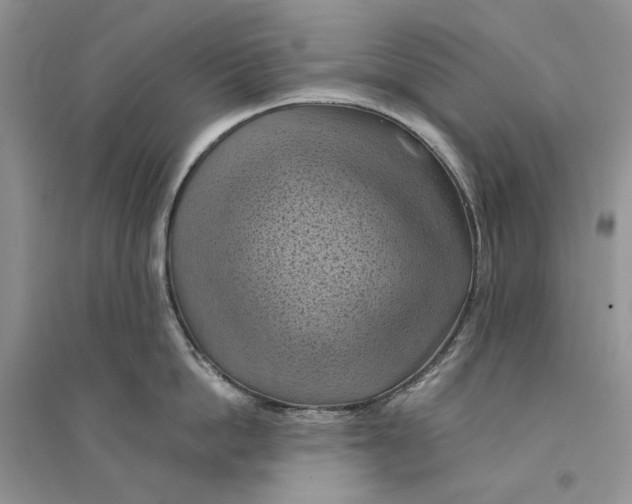 X0000094450862200711291657