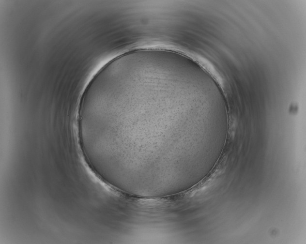 X0000094450863200711291657