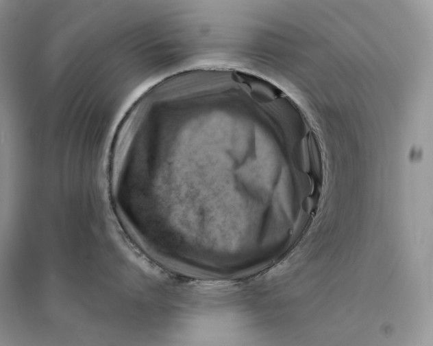 X0000094450864200711291657