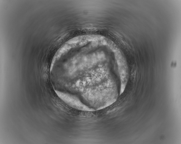 X0000094450866200711291657