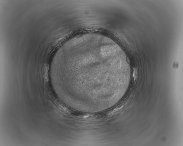 X0000094450867200711291657